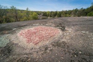 Heggies Rock Preserve in Columbia County GA 3543